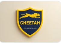 CHEETAH TOOL RENT [ 25 Days ]